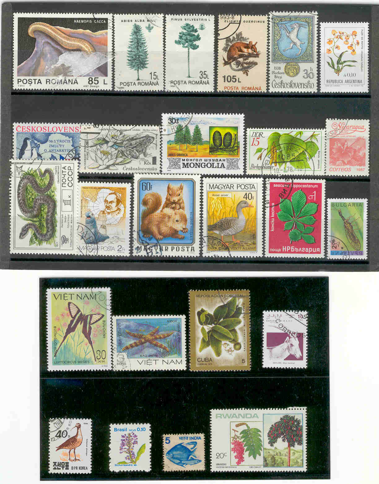 10043 - Flora e Fauna - 25 francobolli diversi - lotto 2