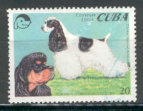 14219 - 1994 Cuba 20 - Cocker spaniel americano - usato