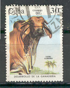 14221 - 1984 Cuba 30 - Cebu cubano - usato