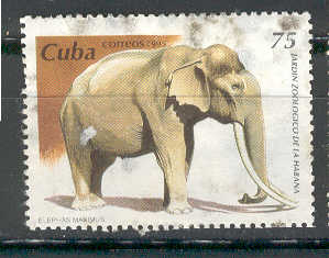 14222 - Cuba 75 - elefante - usato