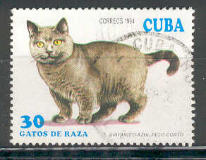 14223 - 1994 Cuba 30 - gatto di razza - usato