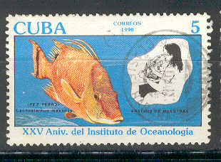 14224 - 1990 Cuba 5 - pesce - usato