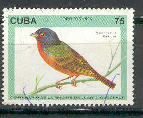 14225 - 1996 Cuba 75 - Passerina ciris - usato