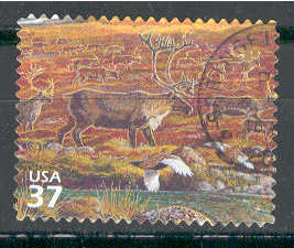 14236 - USA 37 - Cervo - usato