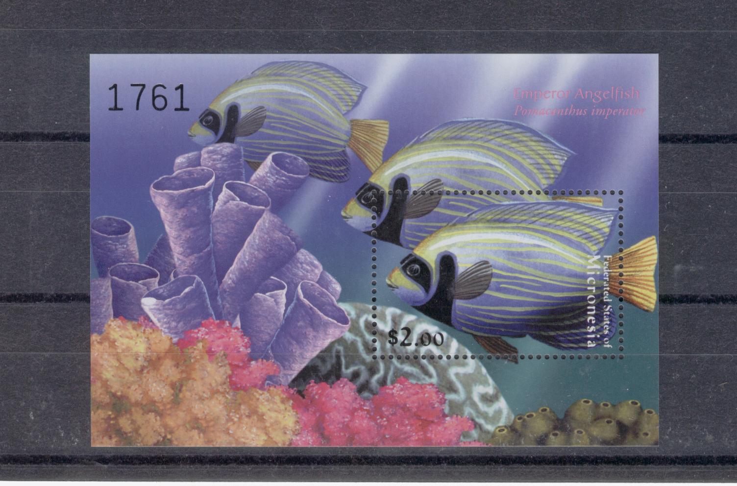 14916 - Micronesia - foglietto nuovo: Pesci Tropicali: Emperor Angelfish
