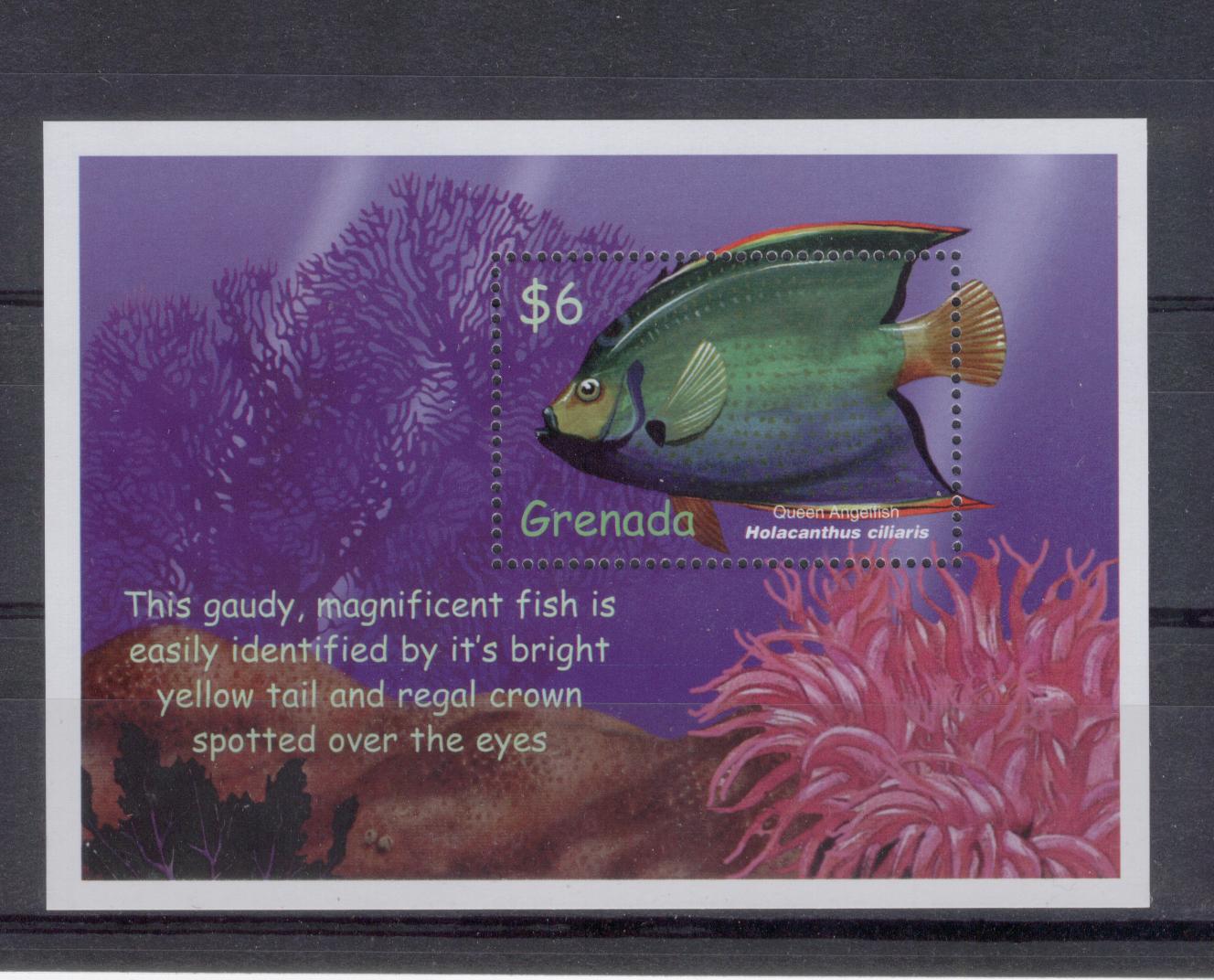 14918 - Grenada - foglietto nuovo: Pesci Tropicali: Holacanthus ciliaris