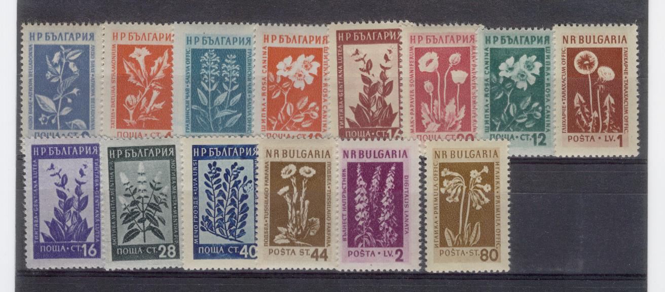 14975 - Bulgaria  - serie completa nuova: Fiori e piante medicinali