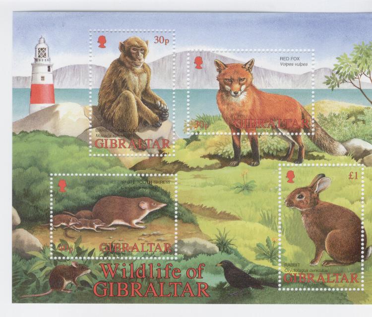 17979 - Gibilterra - foglietto nuovo: Fauna selvatica di Gibilterra