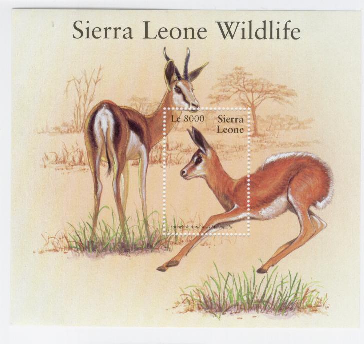 18144 - Sierra Leone - Foglietto nuovo: Fauna della Sierra Leone