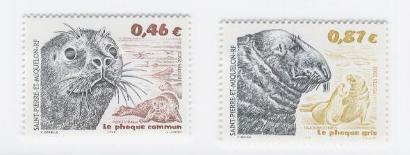 18146 - St. Pierre et Miquelon - serie completa nuova: Foche