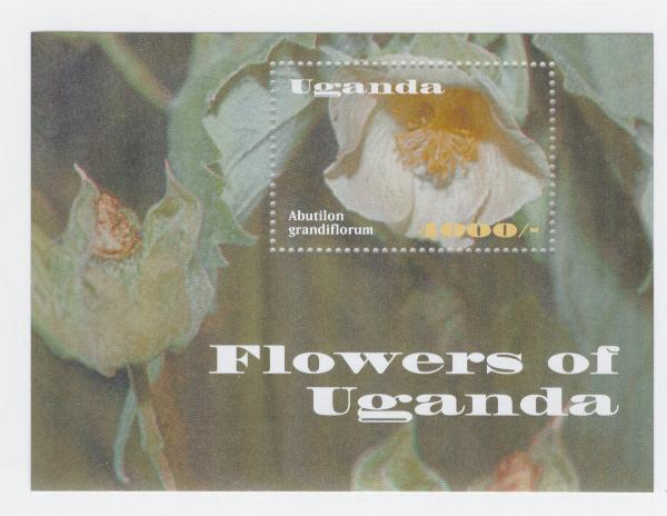 19200 - Uganda - foglietto nuovo: Fiori dell Uganda