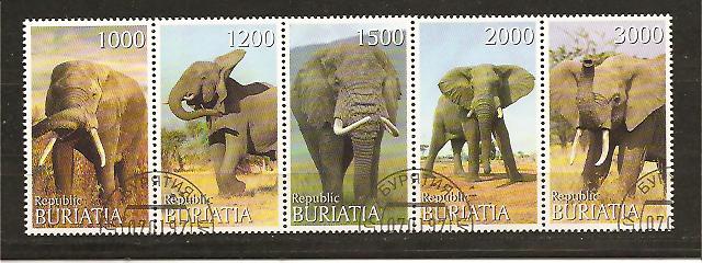 35423 - Buriatia - serie completa in blooco usata: Elefanti