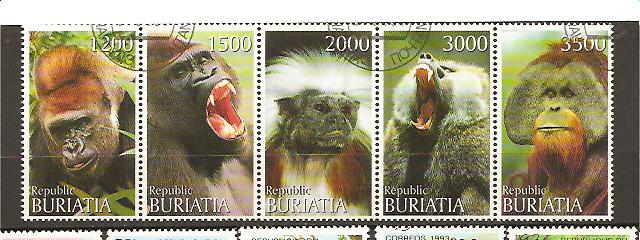 21312 - Buriatia - serie completa in blocco: Scimmie