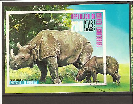 21577 - Guinea Equatoriale - foglietto usato: Protezione della natura: Rinoceronte