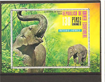 21580 - Guinea Equatoriale - foglietto usato: Protezione della natura: Elefanti