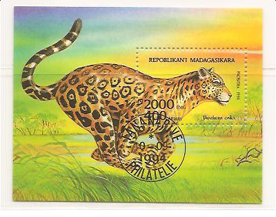 21593 - Madagascar - foglietto usato: Pantera Onka