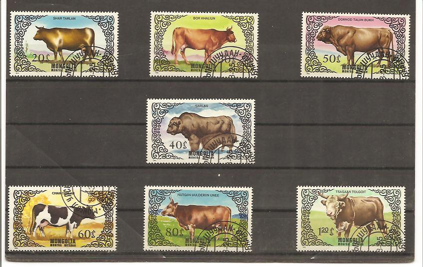 21924 - Mongolia - serie completa usata: Razze bovine