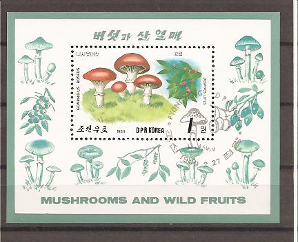 27384 - Corea del Nord - foglietto usato: Funghi