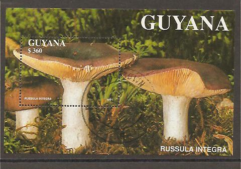 22372 - Guyana - foglietto usato: Funghi - Russula Integra