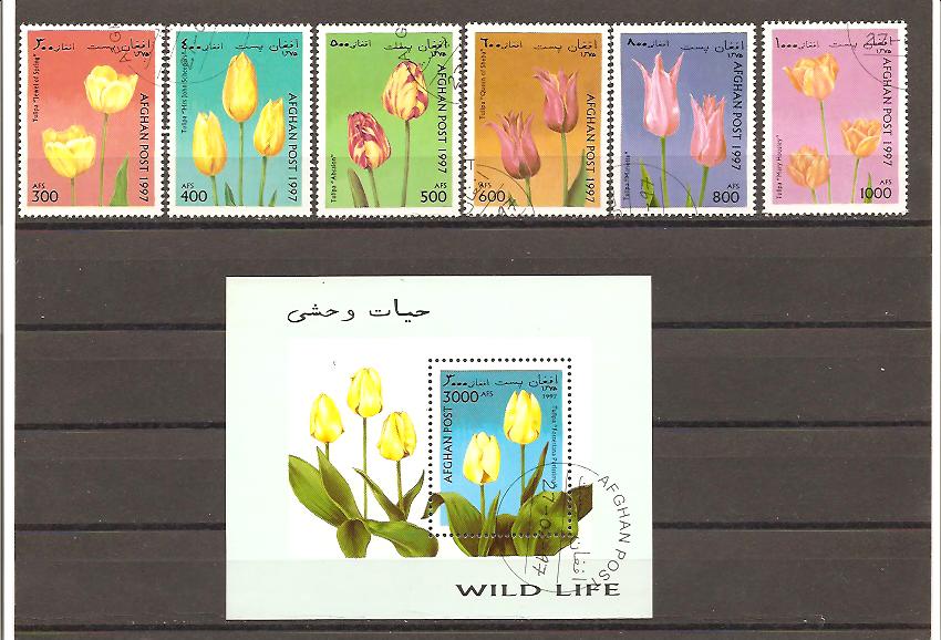 23107 - Afghanistan - serie completa usata + foglietto: Tulipani