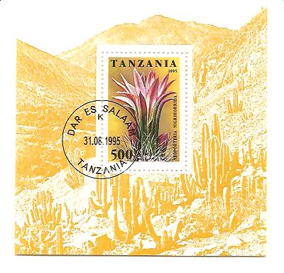 23109 - Tanzania - foglietto usato: Cactus