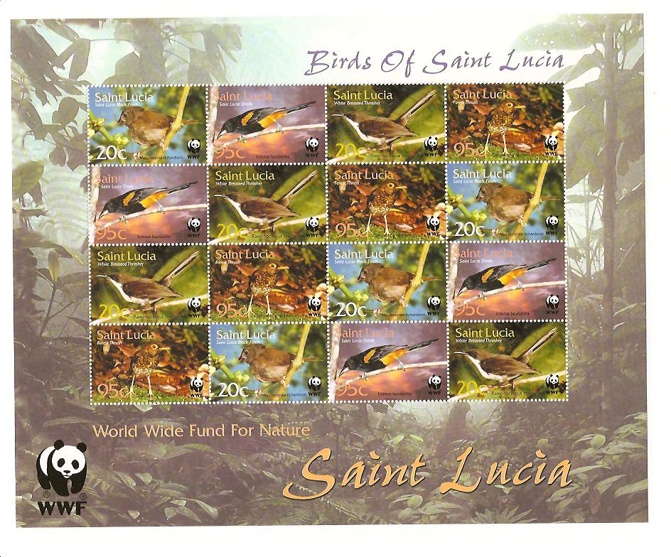 23804 - St. Lucia - foglietto nuovo: Uccelli di Saint Lucia
