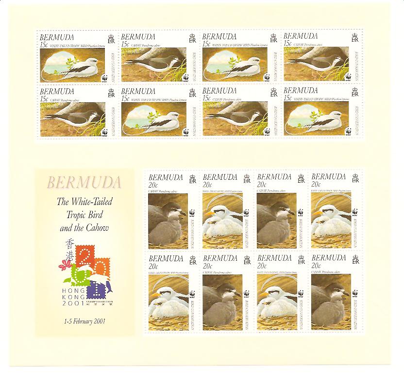 23815 - Bermuda - foglietto nuovo: Uccelli nidificatori