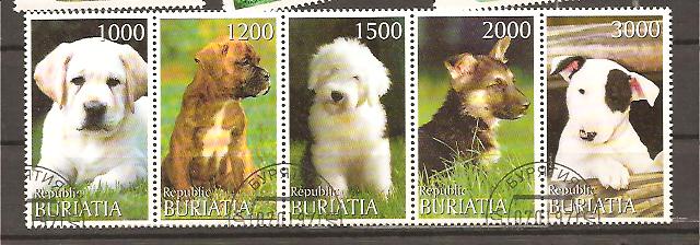 25045 - Buriatia - serie completa usata in blocco: Cuccioli di cane