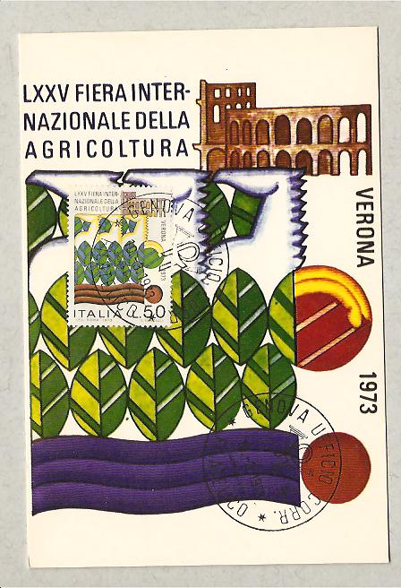 26332 - Italia - cartolina maximum: 75 anniversario della Fiera di Verona