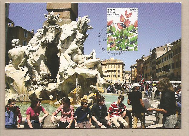 30908 - Islanda - cartolina ufficiale  con annullo speciale: Roma - Festival Inter.le della Filatelia 2009
