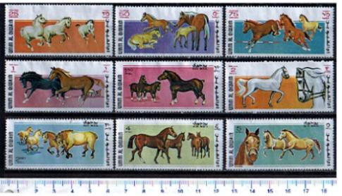 31190 - UMM al QIWAIN (Unione Emirati Arabi), Anno 1969, TS. 237/45 - Cavalli di razza: soggetti diversi - 9 valori serie cpl. nuova senza colla