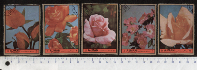 32980 - AJMAN	1972-2713  *	Rose della Regina, rose diverse - 5 valori serie completa timbrata - Catalogo O.T.S. n 1513/1517