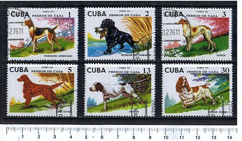 37752 - CUBA 1976-3595- Yvert # 1904/09 * Cani da caccia soggetti diversi - 6 valori serie completa timbrata