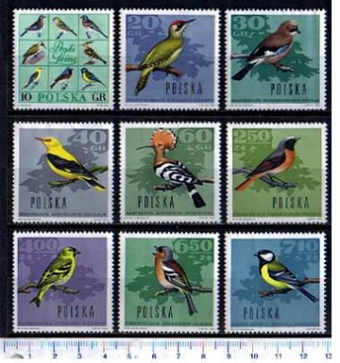 40968 - POLONIA	1966-1568-75	Uccelli delle foreste - 9 valori serie completa nuova senza colla - Acquisti minimi per  5,00