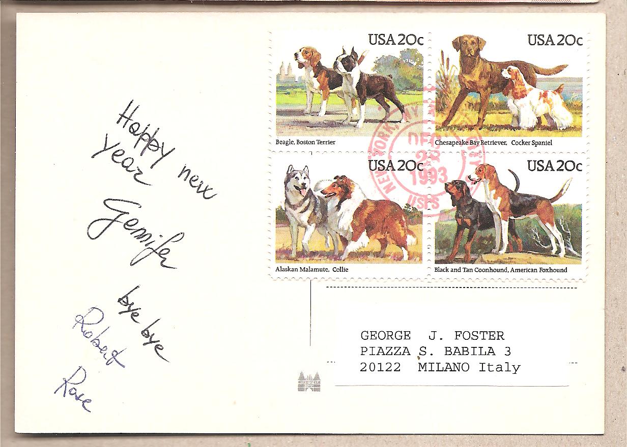 41936 - USA - cartolina usata per l Italia - Cani - 1993 * G