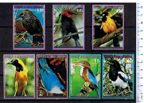 42971 - GUINEA Equatoriale	1976-3685- Yvert  97+A81  *	Protezione della Natura Uccelli soggetti diversi  IV^ - 7 valori serie completa timbrata