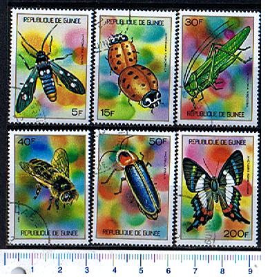 43053 - GUINEA	1973-3495  Insetti  e farfalle soggetti diversi - 6 valori serie completa timbrata - Yvert # 494/499