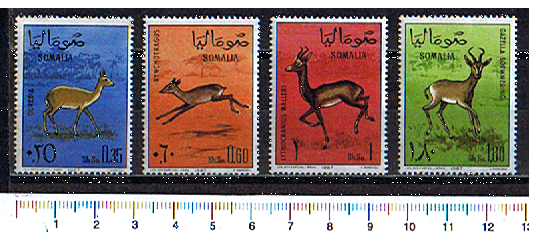 43269 - SOMALIA	1966-1253/A - Yvert n 62/65 *  Gazzelle diverse  -  4 valori serie completa nuova **MNH