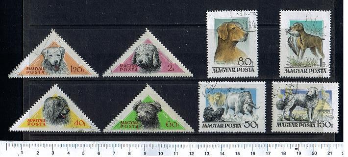 43340 - UNGHERIA	1956-3559 - Yvert n 1190/97 * Cani soggetti diversi  - 8 valori serie completa timbrata