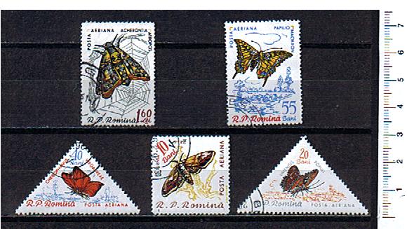 43635 - ROMANIA	1960-Yvert A120-24  Farfalle diverse  -  5 valori serie completa timbrata -