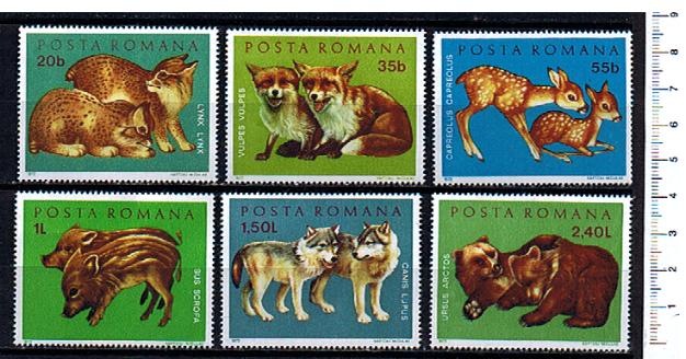 43671 - ROMANIA	1972-2674/79	scott.2315-20	Giovani animali - 6 valori serie completa nuova