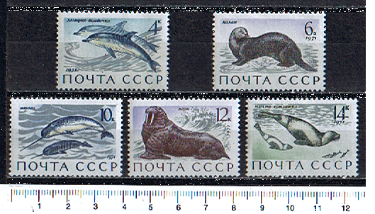 43795 - RUSSIA	1971-Yvert 3747-51  Creature marine  -  5 valori serie completa NUOVA