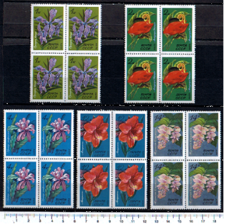 43812 - RUSSIA	1971-Yvert 3791-95  Fiori e piante tropicali   - 5 valori serie completa NUOVA colla di seconda scelta in quartina