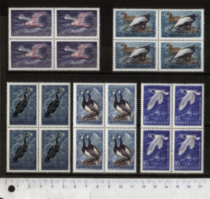 43816 - RUSSIA	1972-Yvert 3802-06  Uccelli acquatici e marini  - 5 valori serie completa NUOVA con colla seconda scelta in quartina