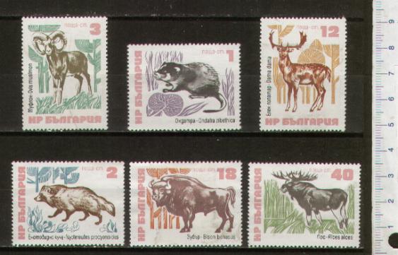 43910 - BULGARIA	1973-Yvert 2008-13  Animali selvatici - 6 valore serie completa nuova senza colla