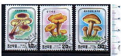 43923 - COREA DEL NORD	1986-379A  Funghi soggetti diversi  - 3 valori serie completa timbrata - Catalogo 2907-09