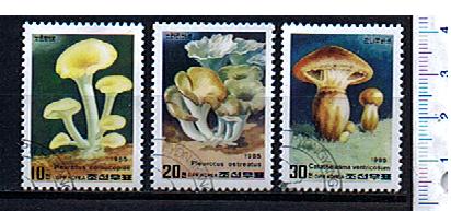 43928 - COREA DEL NORD	1985-378B  Funghi soggetti diversi - 3 valori serie completa timbrata
