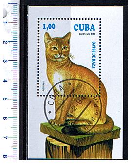 43937 - CUBA	1994-204F	  Gatti di razza  -  Foglietto completo timbrato - Catalogo n 3752