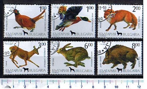 43957 - BULGARIA 1993-213 *  Animali soggetti diversi - 6 valori serie completa timbrata