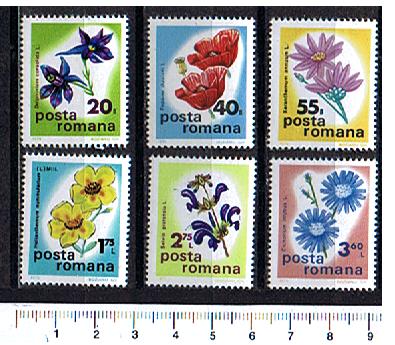 44266 - ROMANIA	1975-Yvert 2912/17	  Conferenza Botanica: Fiori - 6 valori serie completa nuova